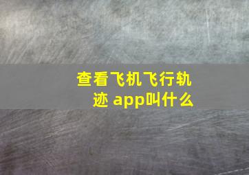 查看飞机飞行轨迹 app叫什么